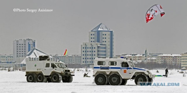 Красота! Лето на Ямале. Фото