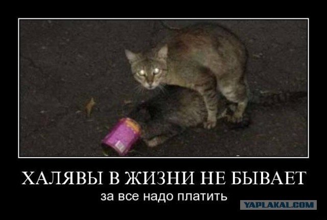 Два чая из одного пакетика? Ну ты пират!