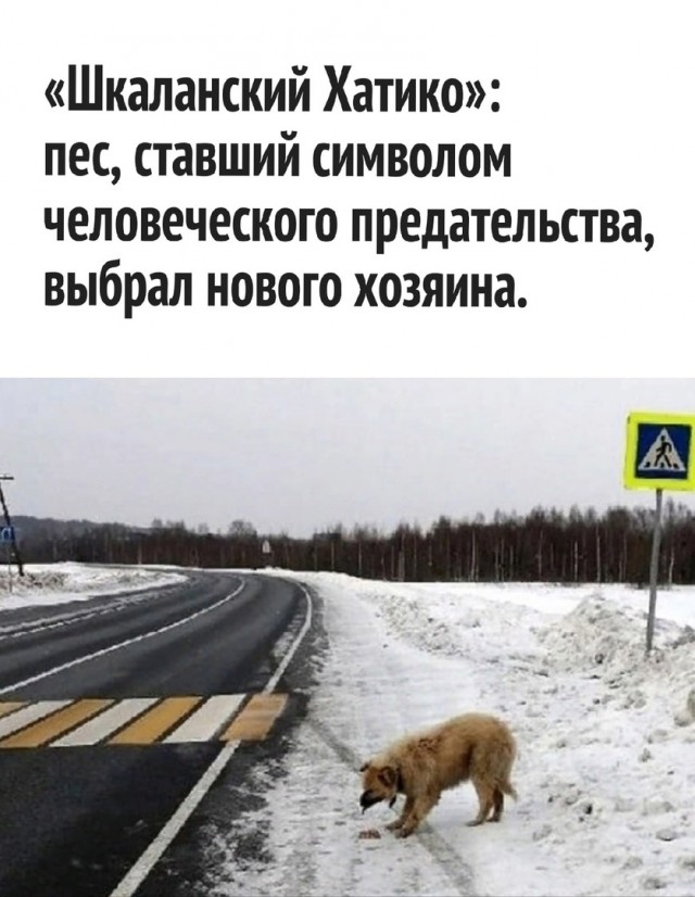 Так себе картинки 16.05.25