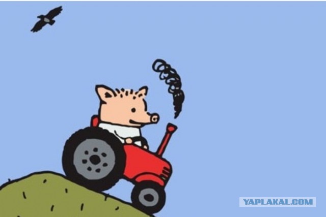 Издевательства над Азербайджанцами на рынках в России