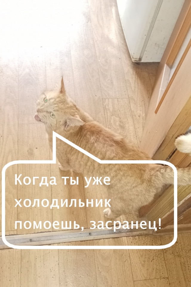 Одиночество