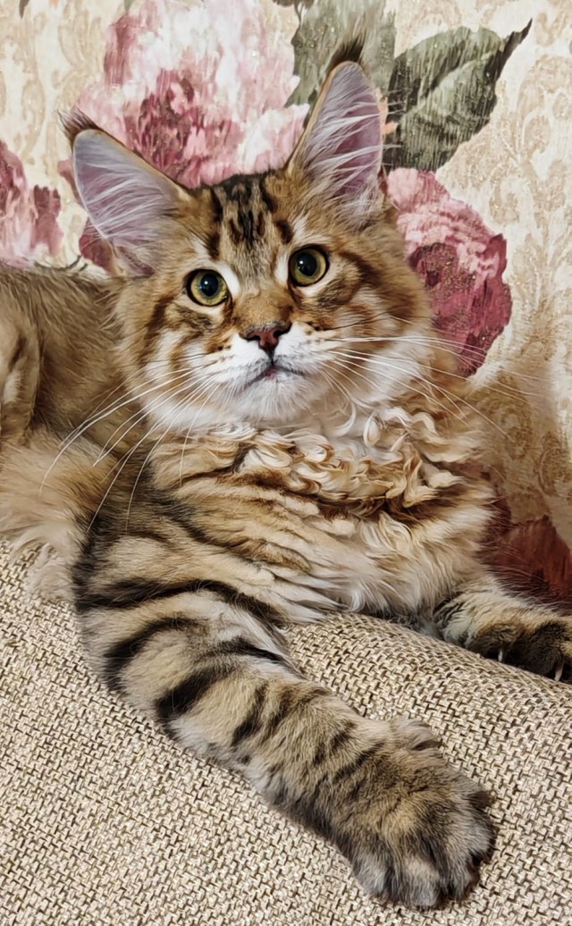 Его первый вторник