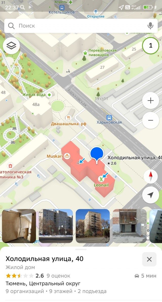 Картинки для деградации 63 (разной степени свежести)
