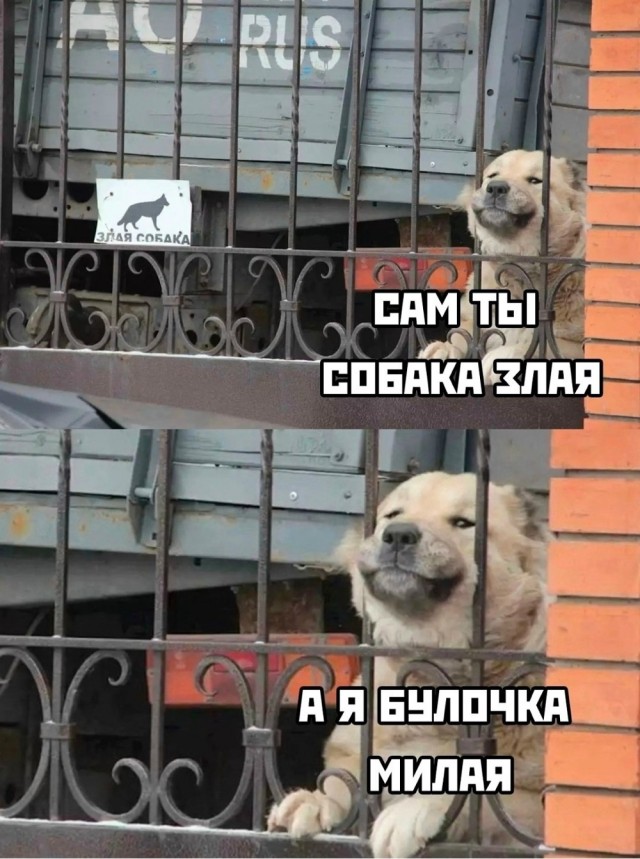 Четверг в картинках