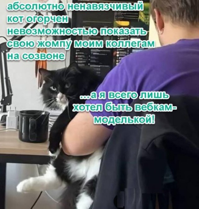 Картиночки, баянчики  06 декабря