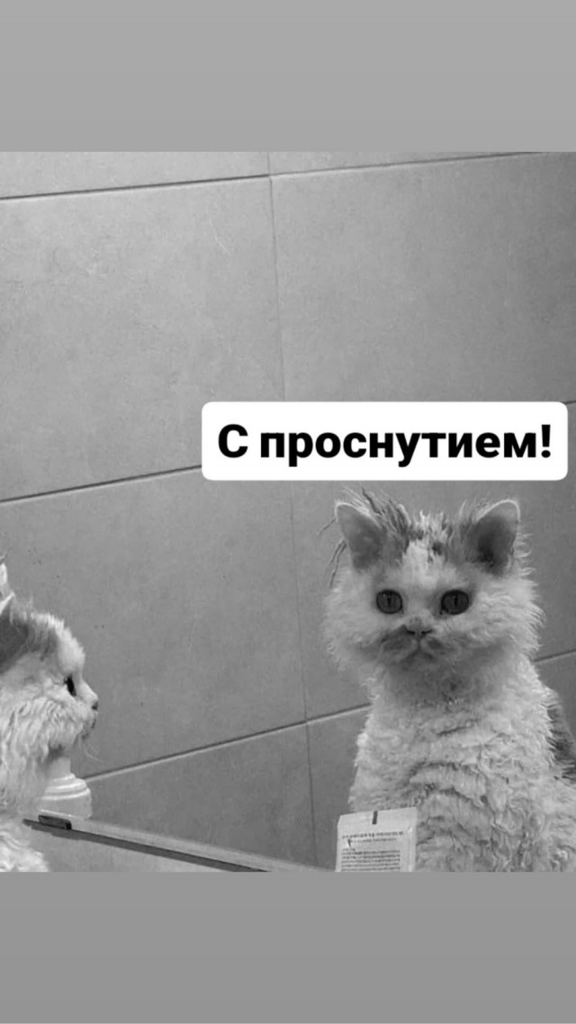 Деградация