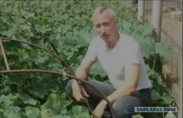 Sело Татуиново: Эпизод III