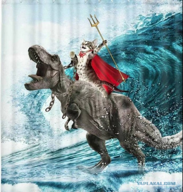 Жена ЯПовца