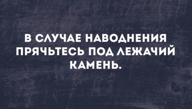 Картинки для деградации 137 (разной степени свежести)