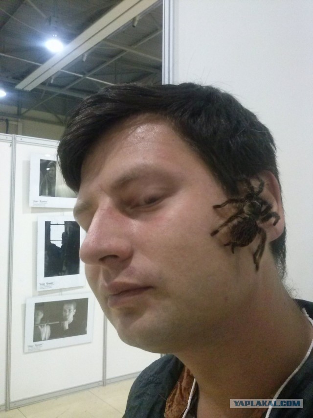 Получше его закрывайте там