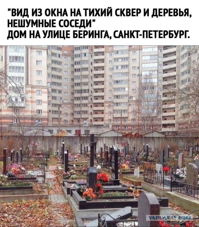 Так себе картинки 01.09.26