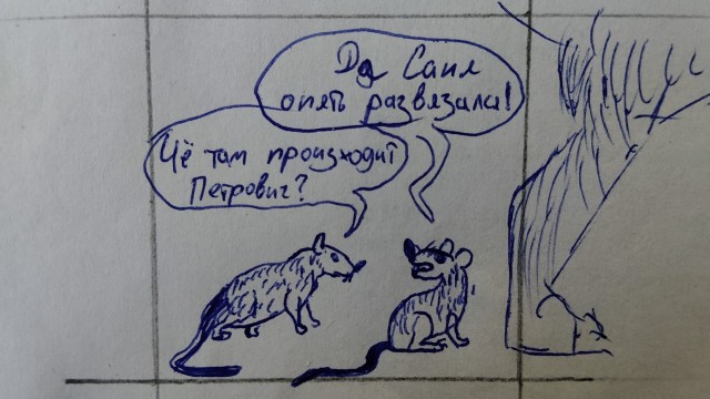 Рисунки.