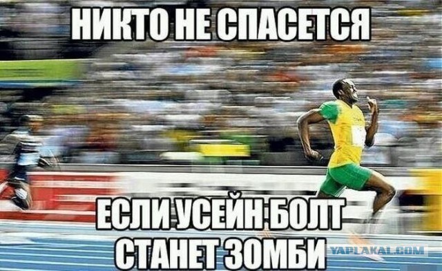 Приколы и маразмы 2