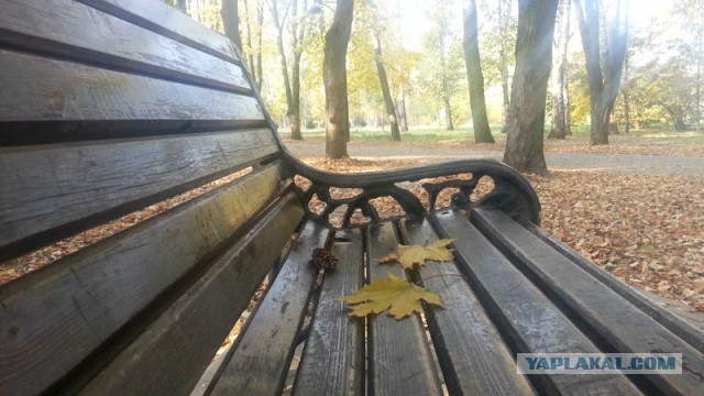 Новости из жизни Краснодара в цифрах