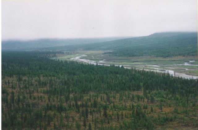 юг якутии. нерюнгри сплав река чульман. южная якутия. сусунайский хребет сахалин. южная якутия.