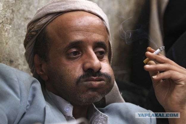 Кат - замена алкоголя для мусульман