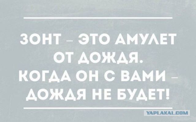 Забавные картинки из Сети