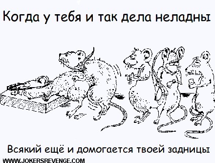 Когда вы минусуете уже заминусованного