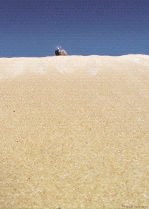 Ловкий и дерзкий тролль катит кучу говна в пост