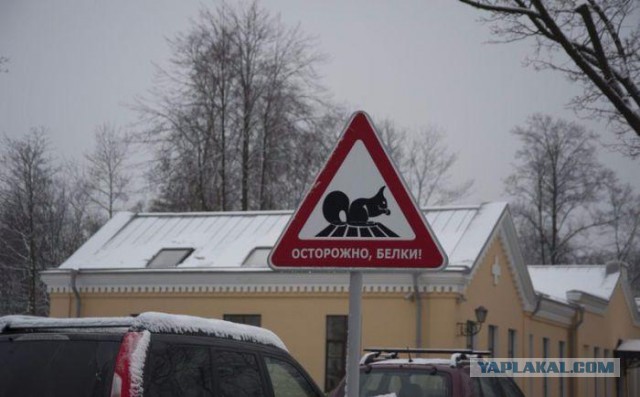Авто приколы!