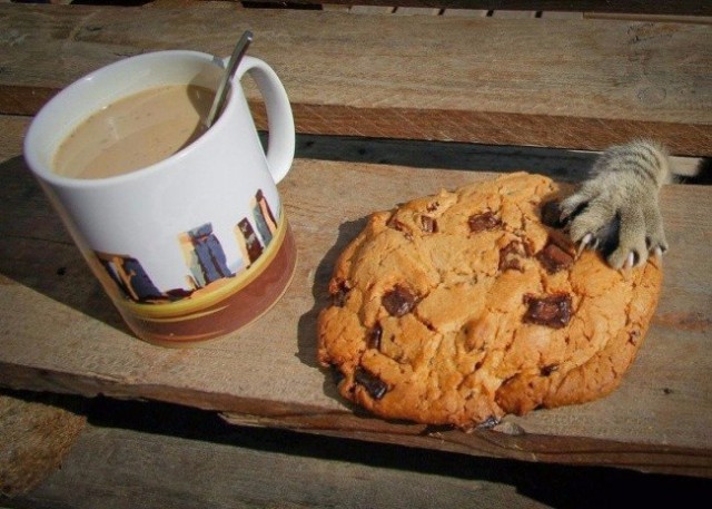 Весёлые картинки