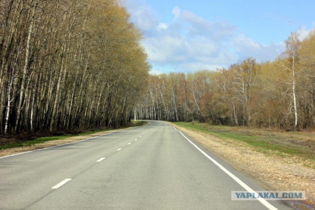 Сельскохозяйственный эксперимент ч. 7