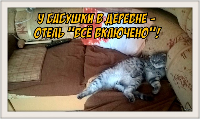 На деревню к бабушке: как отдыхали дети в СССР