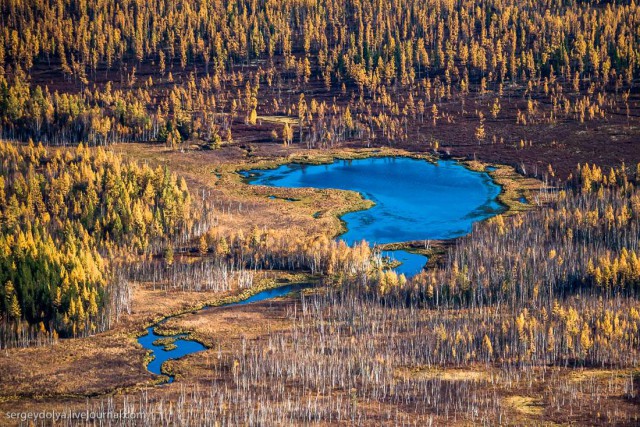 Осенние краски якутской тайги с вертолета