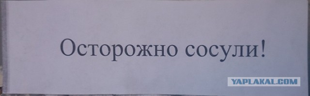 Подборка веселых и прикольных фото