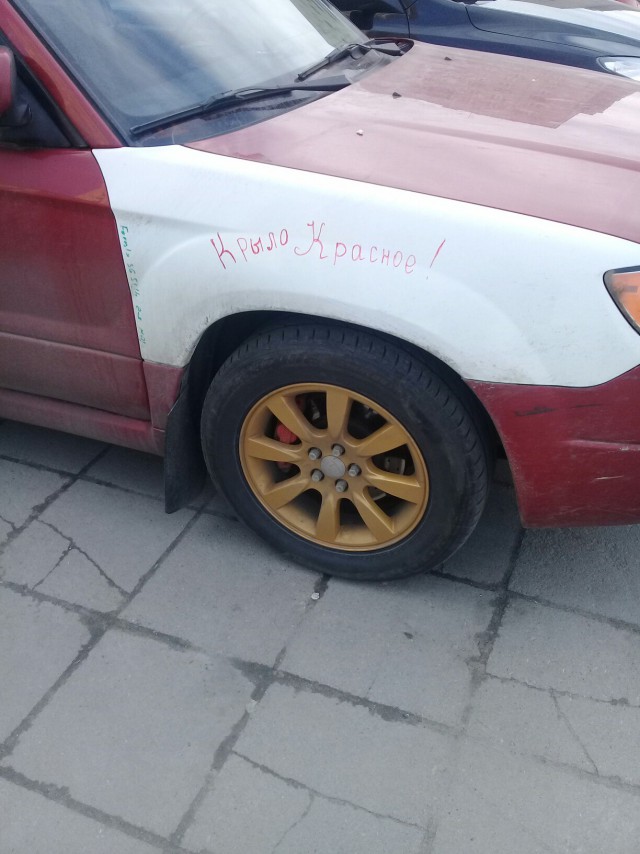 Подборка безудержного веселья