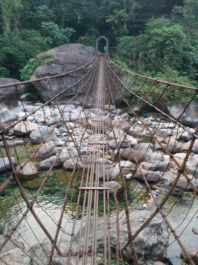 К живым мостам и обратно. Заметки из Индии