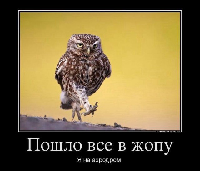 Пишу из Краснодара