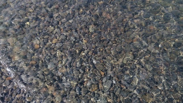 А вы в этом году уже отдыхали на море?