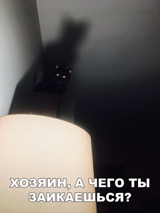 Немного милоты