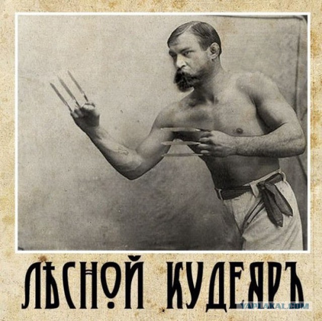 Это как такое стало?!