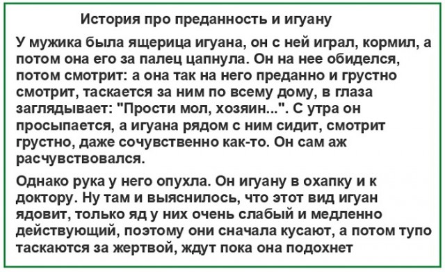 Анекдоты, соц-сети, истории и картинки с надписями