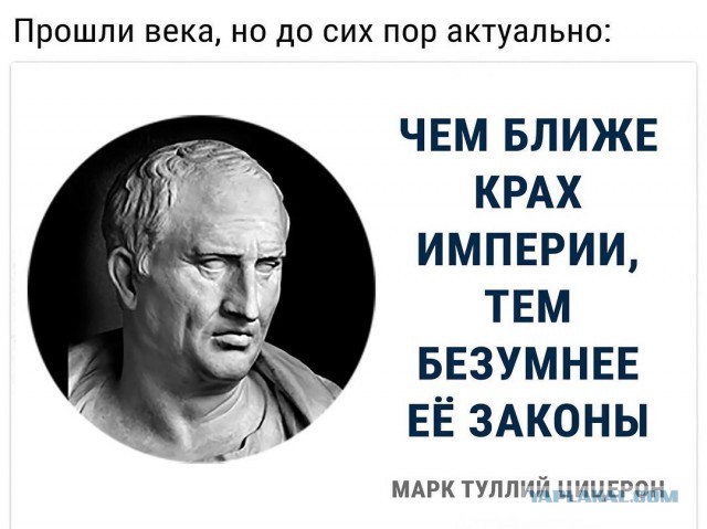 В ФНС разъяснили условия налогообложения дачных теплиц