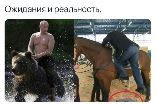 Путин, ты откуда такой сильный?