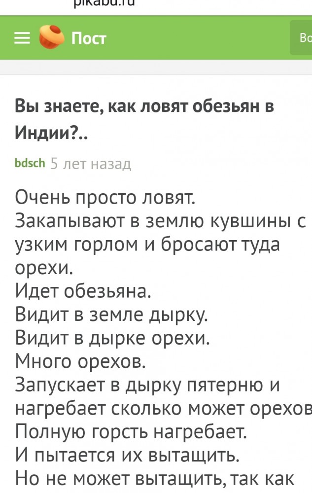 Обезьяны и мы