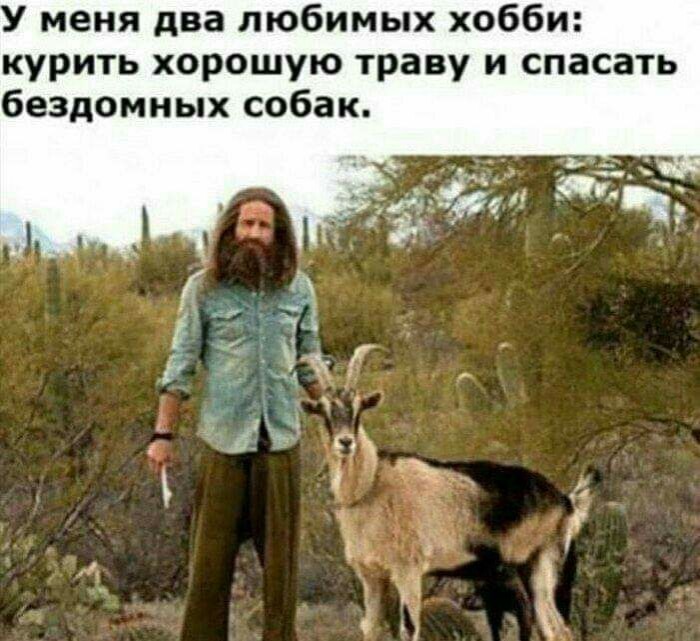 Бредзона 13.02.2020