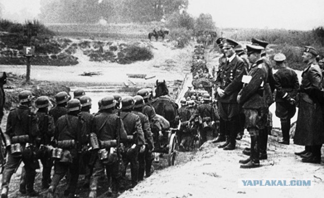 Очередное окно Овертона:  решающую роль в войне сыграла не Красная Армия.