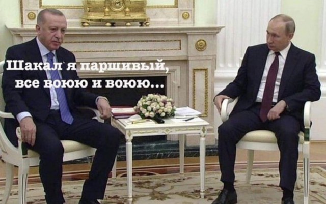 Вместо тысячи слов.
