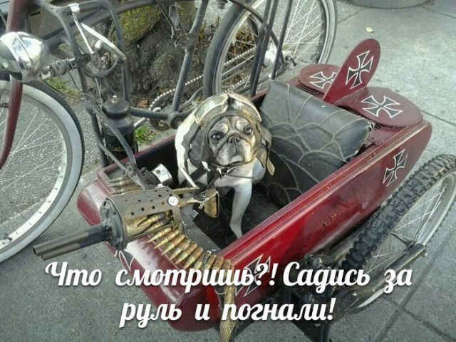 Чуток картинок 07.04.20