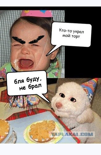 Фотожаба: Что случилось, малыш?