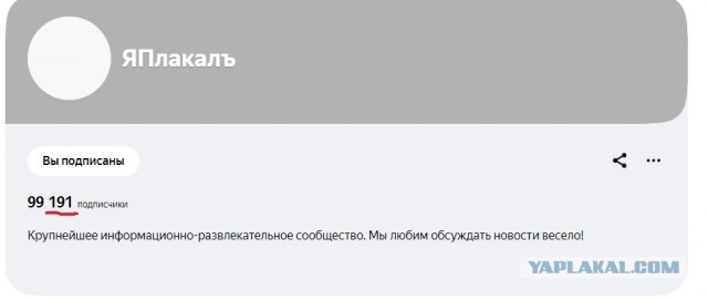 ЯП в Яндекс.Дзен = довернем до 100.000 подписчиков?