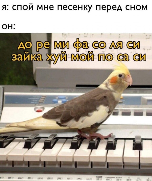 Новые лайтовики подоспели