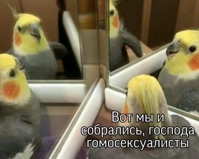 Какие носки вы носите, такой у вас и характер