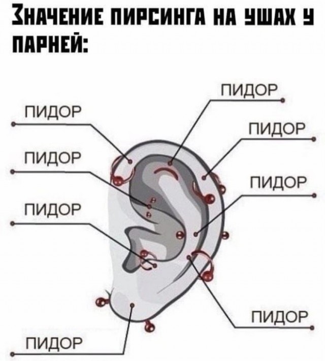 Юмор и прикольные картинки