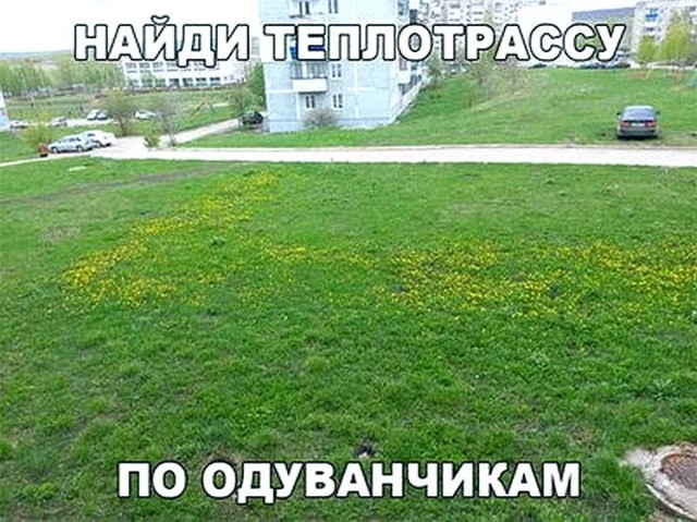 Воскресные картинки