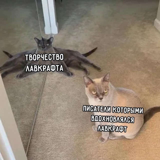 Весёлый полтишок 16.07